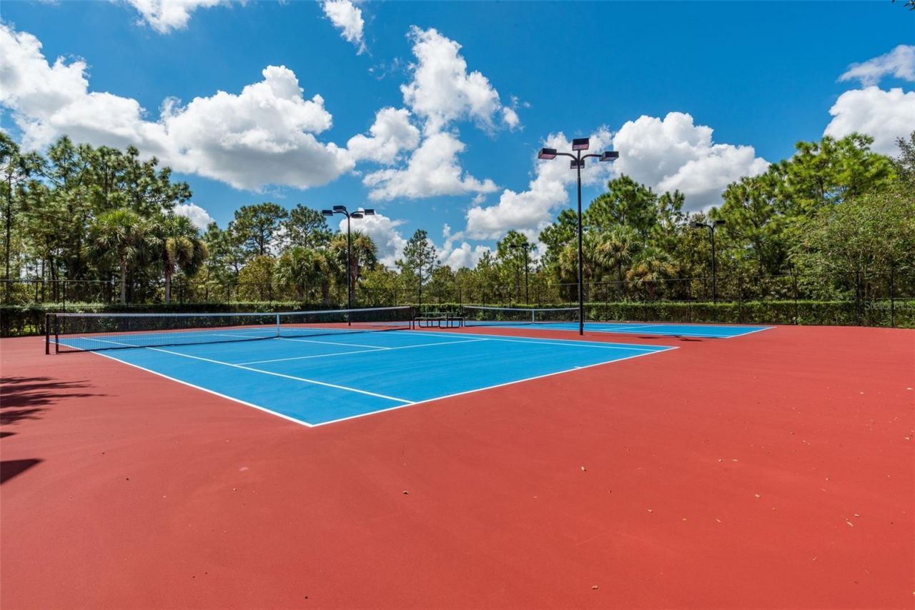 13393 Golden Lime Avenue, Spring Hill, FL 34609 Photo
