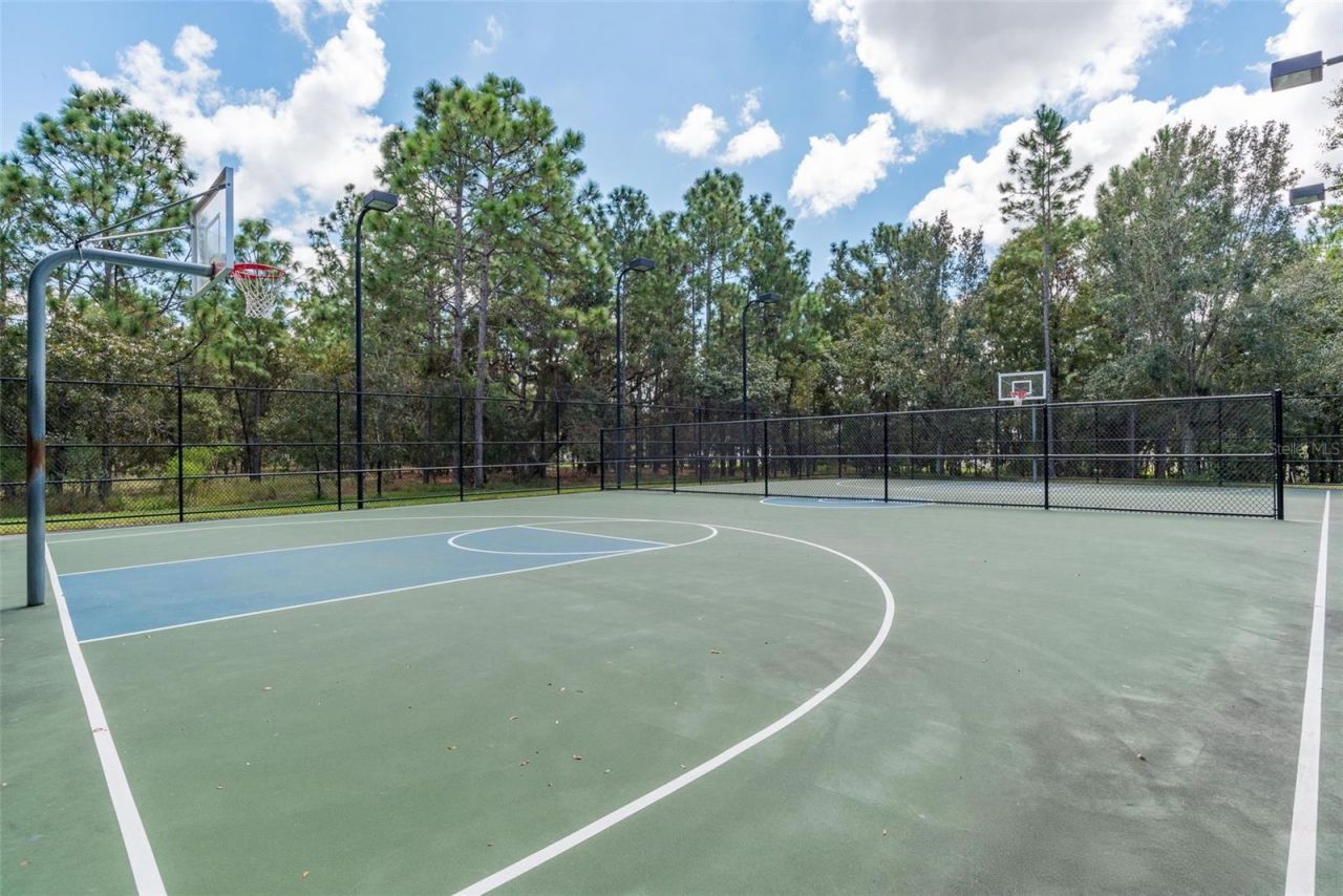 13393 Golden Lime Avenue, Spring Hill, FL 34609 Photo