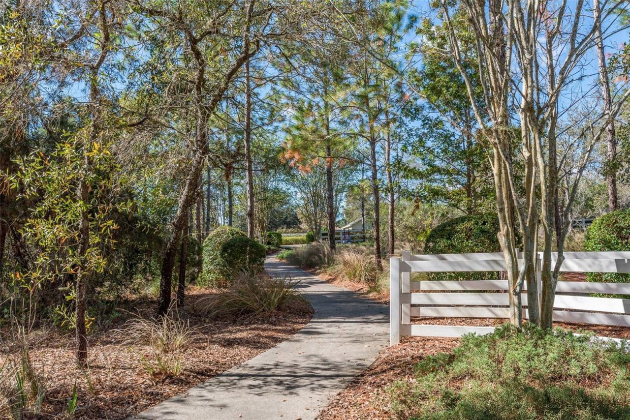 13393 Golden Lime Avenue, Spring Hill, FL 34609 Photo