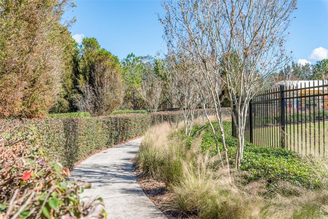 13393 Golden Lime Avenue, Spring Hill, FL 34609 Photo