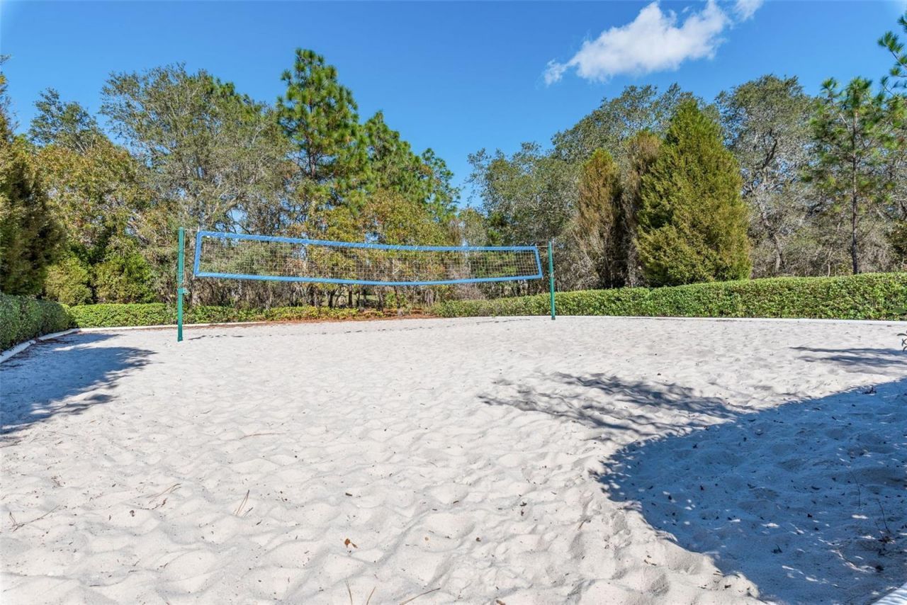 13393 Golden Lime Avenue, Spring Hill, FL 34609 Photo