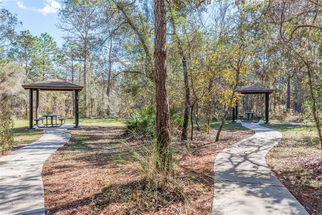 13393 Golden Lime Avenue, Spring Hill, FL 34609 Photo