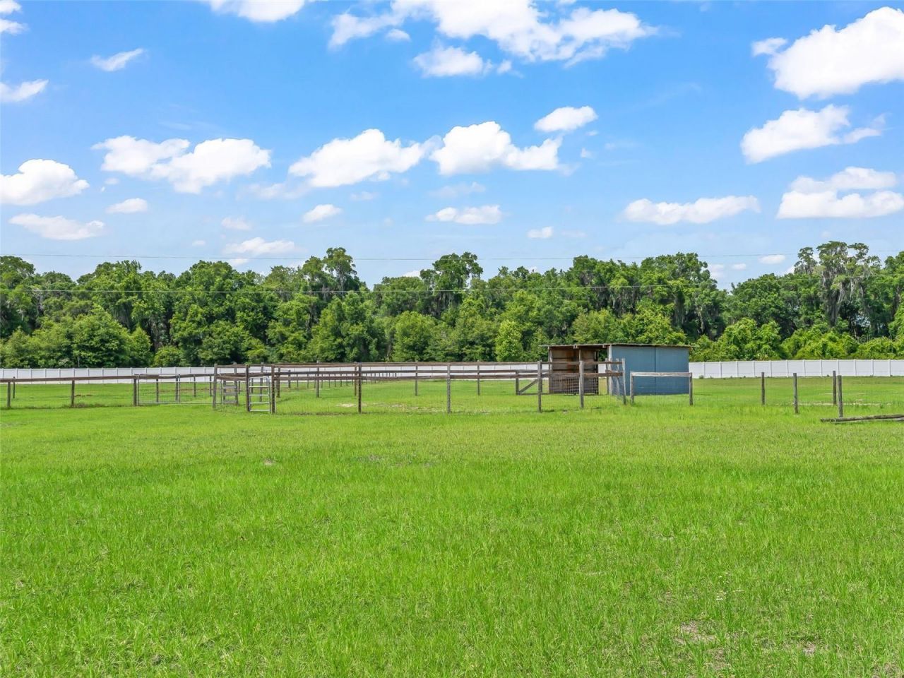 Please Call For Address, Citra, FL 32113 Photo