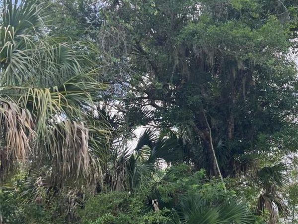 2942 BROWNWOOD CIRCLE , SEBRING, FL 33875