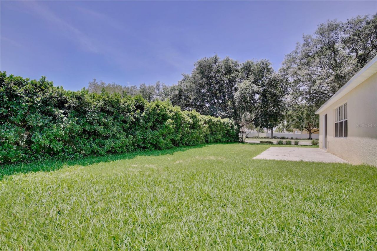 585 Setting Sun Drive, Winter Garden, FL 34787 Photo