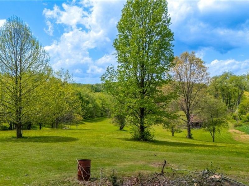 8570 County Road 39, Bloomingdale, OH 43910 Photo 23