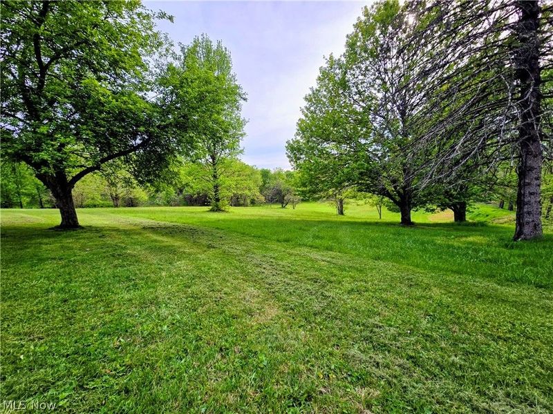 8570 County Road 39, Bloomingdale, OH 43910 Photo 27