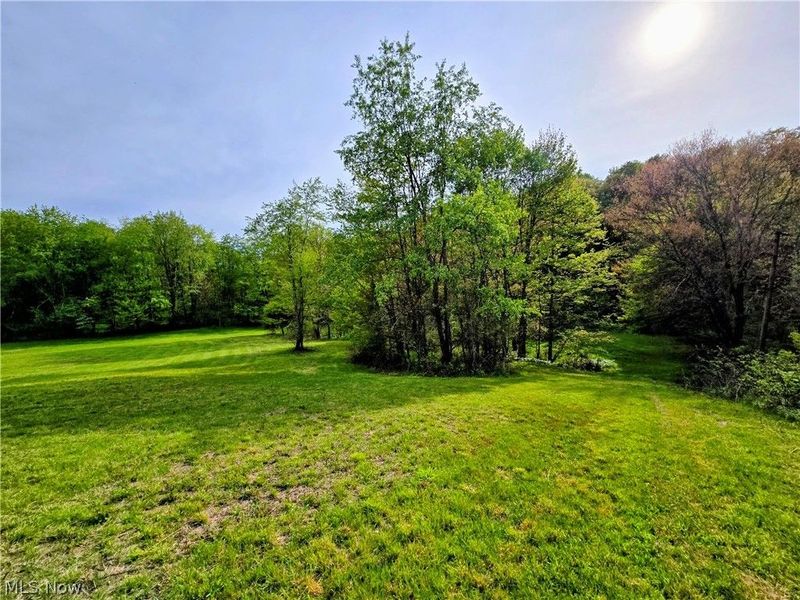 8570 County Road 39, Bloomingdale, OH 43910 Photo 41