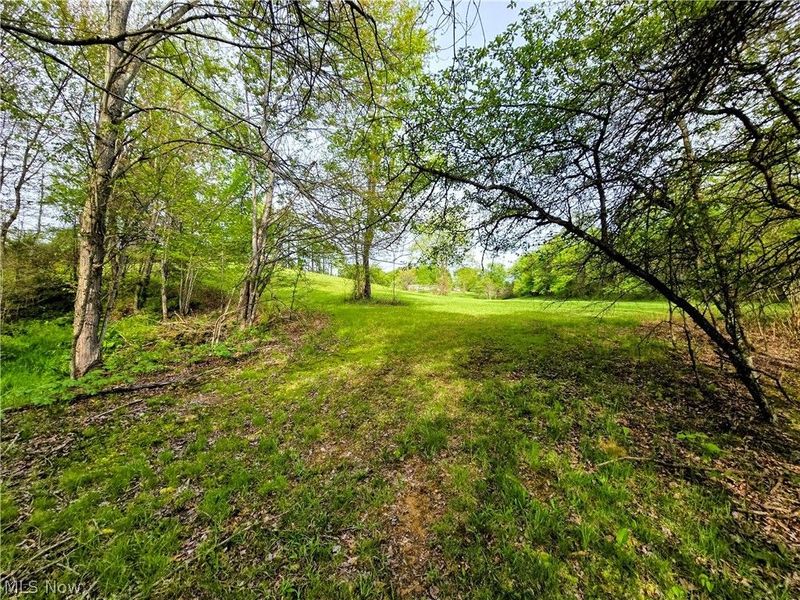 8570 County Road 39, Bloomingdale, OH 43910 Photo 8