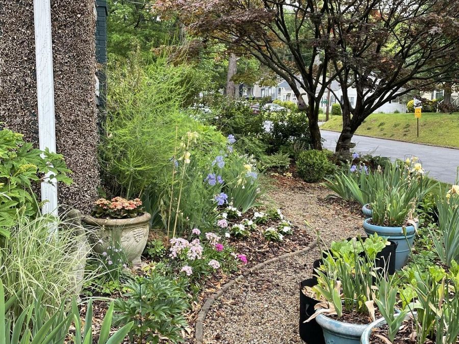 Property Image 61