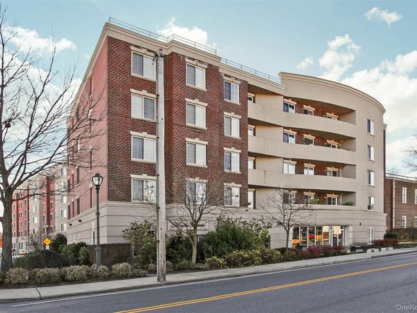 242 Maple Avenue, Unit 419, Westbury, NY 11590