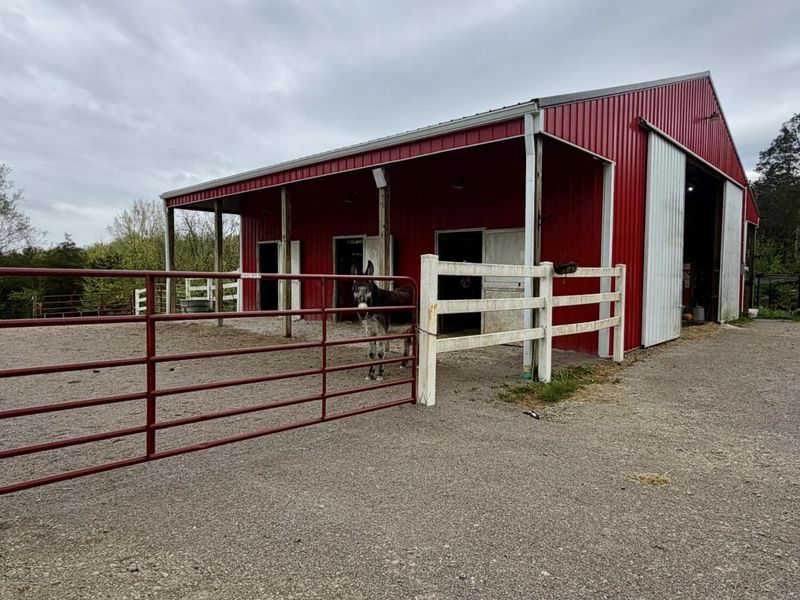 209 Clay Ridge Road, Alexandria, KY 41001 Photo 14