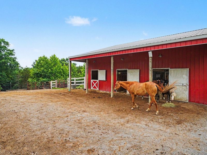 209 Clay Ridge Road, Alexandria, KY 41001 Photo 43