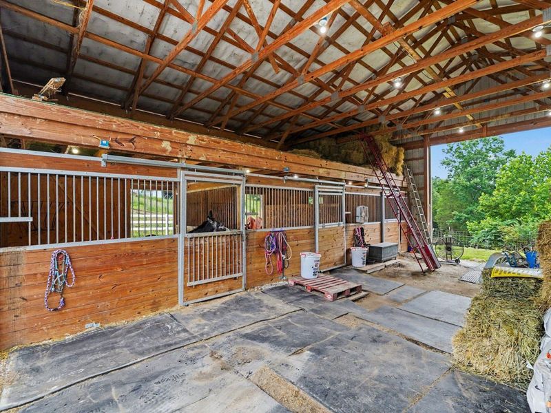 209 Clay Ridge Road, Alexandria, KY 41001 Photo 45