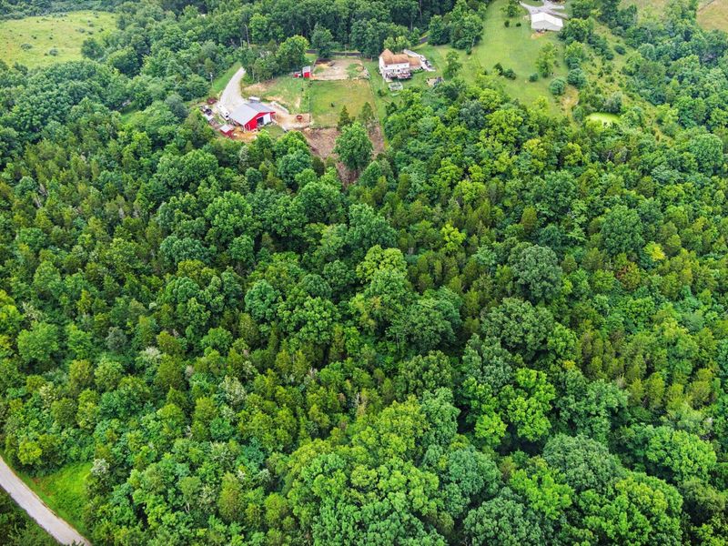 209 Clay Ridge Road, Alexandria, KY 41001 Photo 50