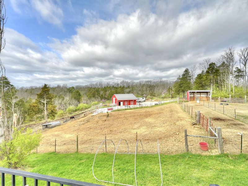209 Clay Ridge Road, Alexandria, KY 41001 Photo 9