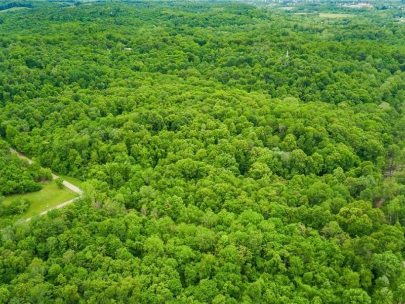 0 Granger Hill Road, Zanesville, OH 43701 Photo 10