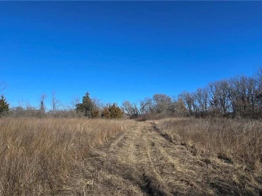 Property Image 10