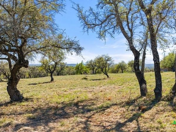 Lot 19 Stone Ridge Mountain Drive , Round Mountain, TX 78663