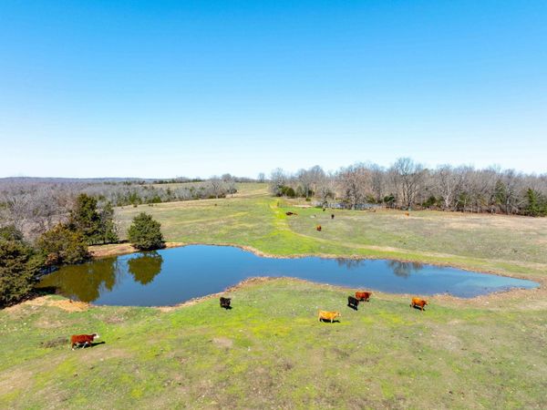 Cr 232 , Henderson, AR 72544