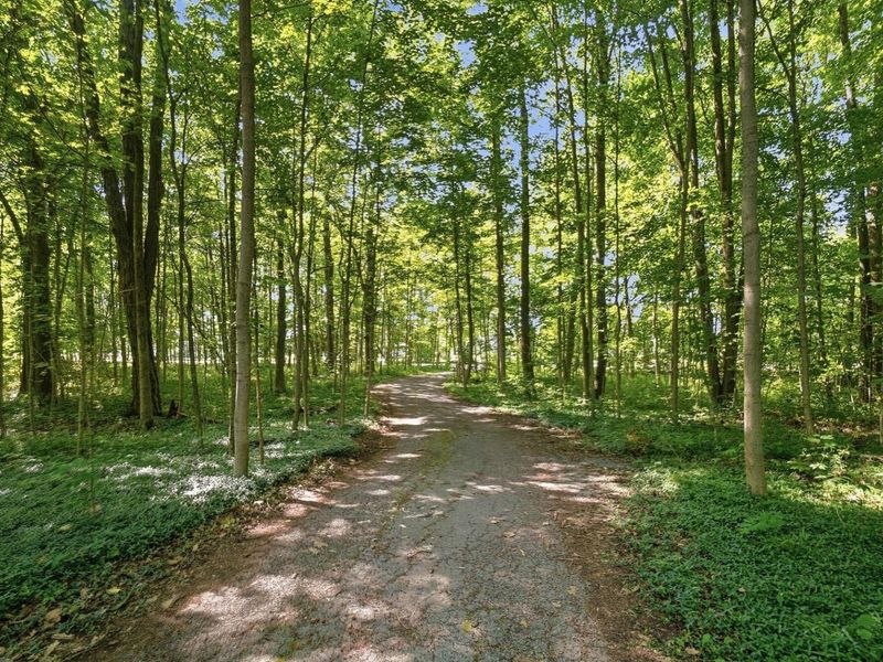 24545 Fairmount Road, Waynesfield, OH 45896 Photo 11
