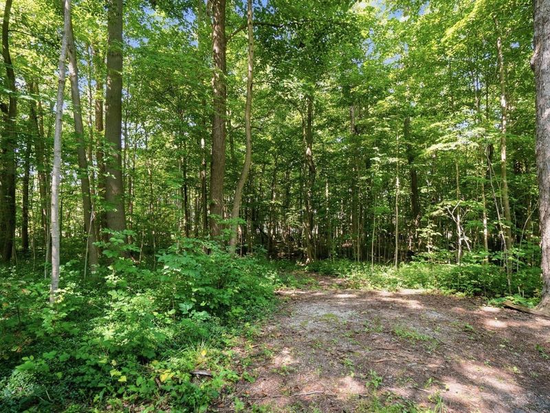 24545 Fairmount Road, Waynesfield, OH 45896 Photo 42