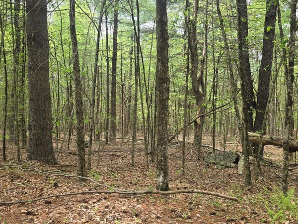 Starlight Drive , Monticello, NY 12701