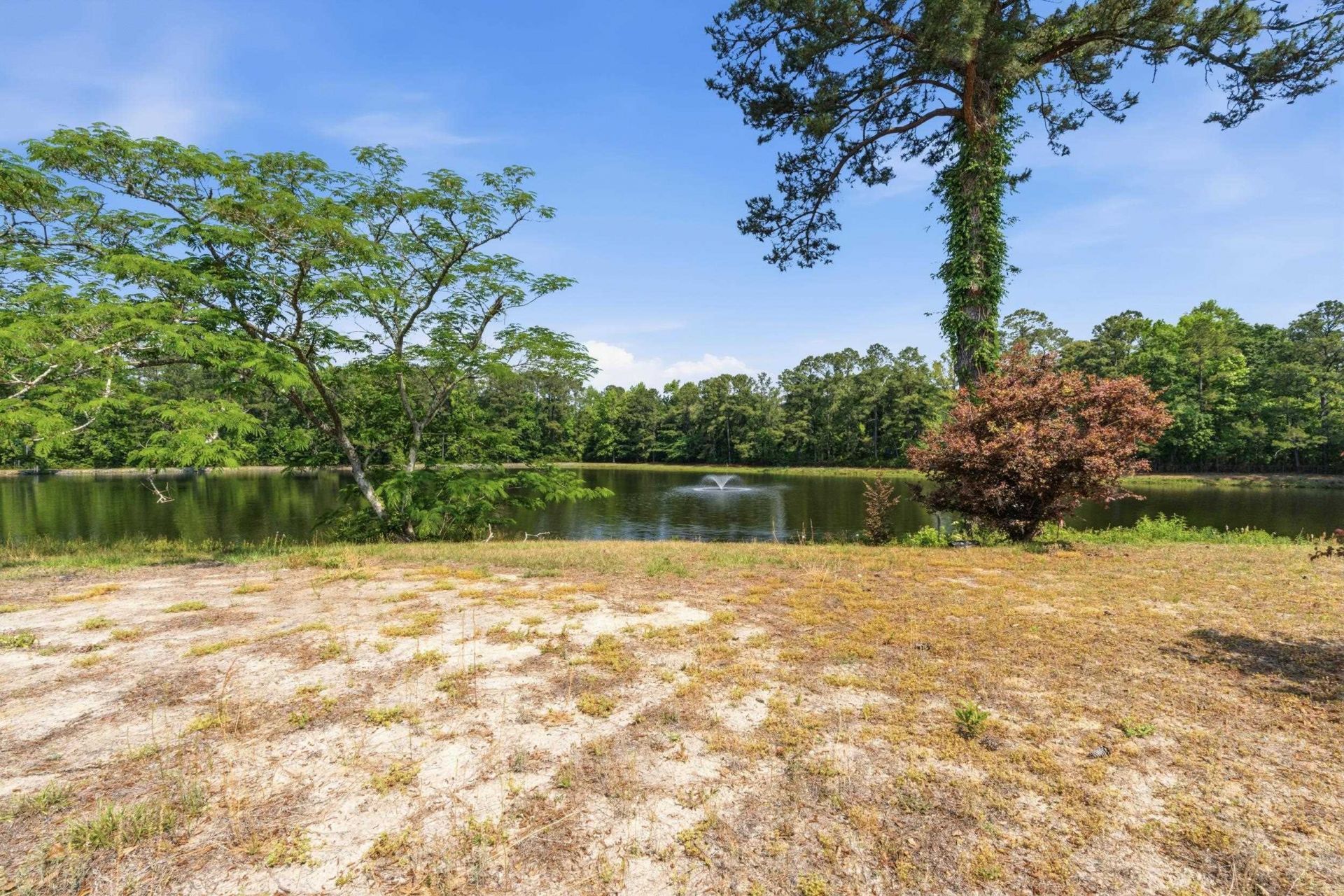 1035 Martin Ln.  Photo 47