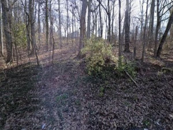 0 Latimore Street, Chattanooga, TN 37406