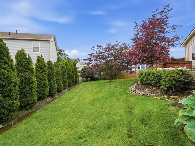 5538 Oldwynne Road, Hilliard, OH 43026 Photo 50