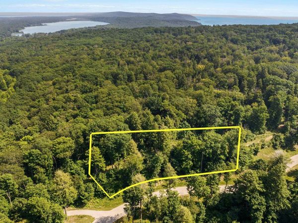 Park Ridge, Frankfort, MI 49635
