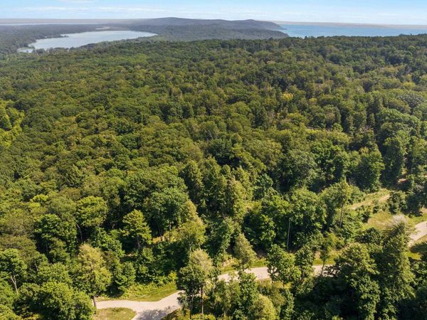 Park Ridge, Frankfort, MI 49635