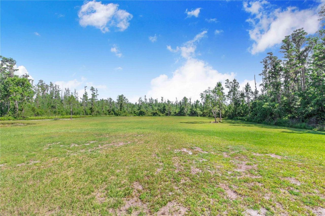 7152 Fussell Road, Polk City, FL 33868 Photo