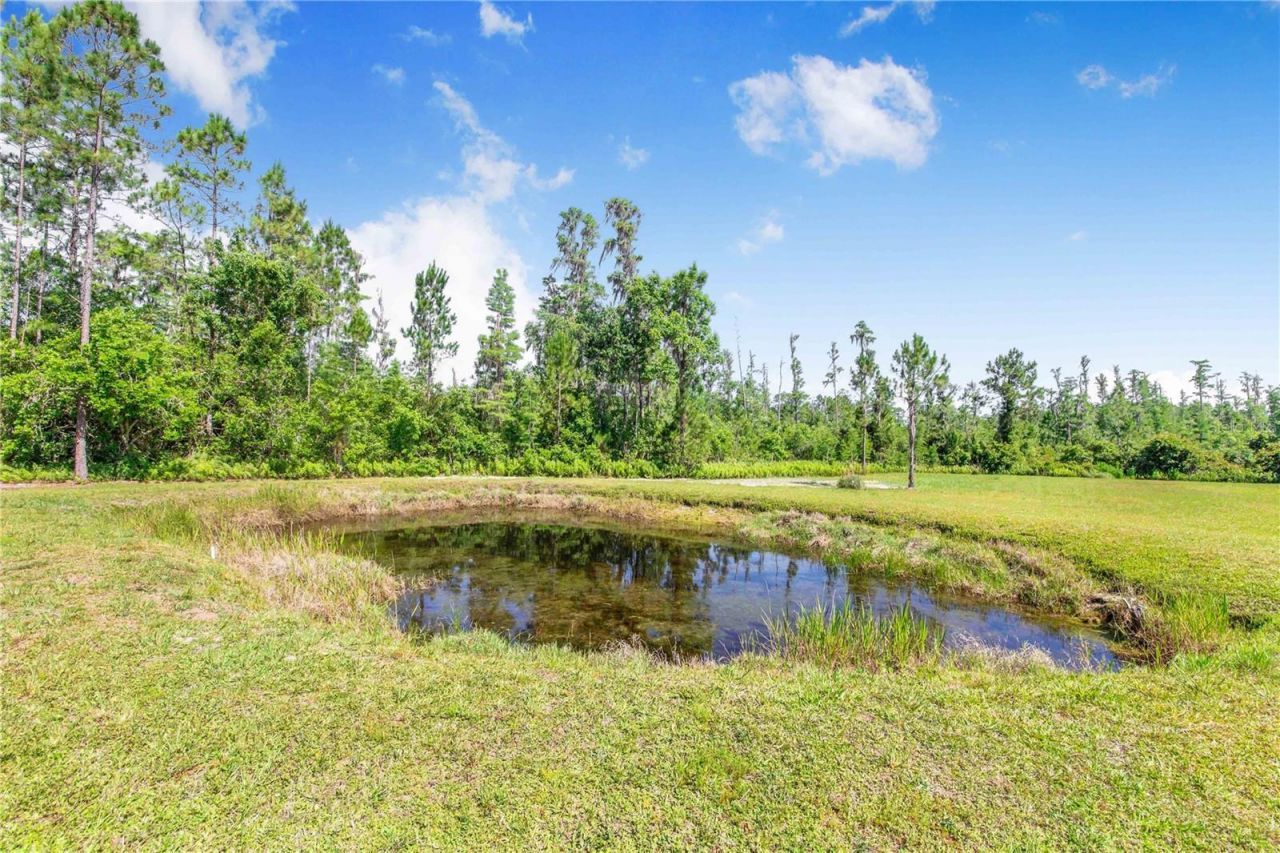 7152 Fussell Road, Polk City, FL 33868 Photo