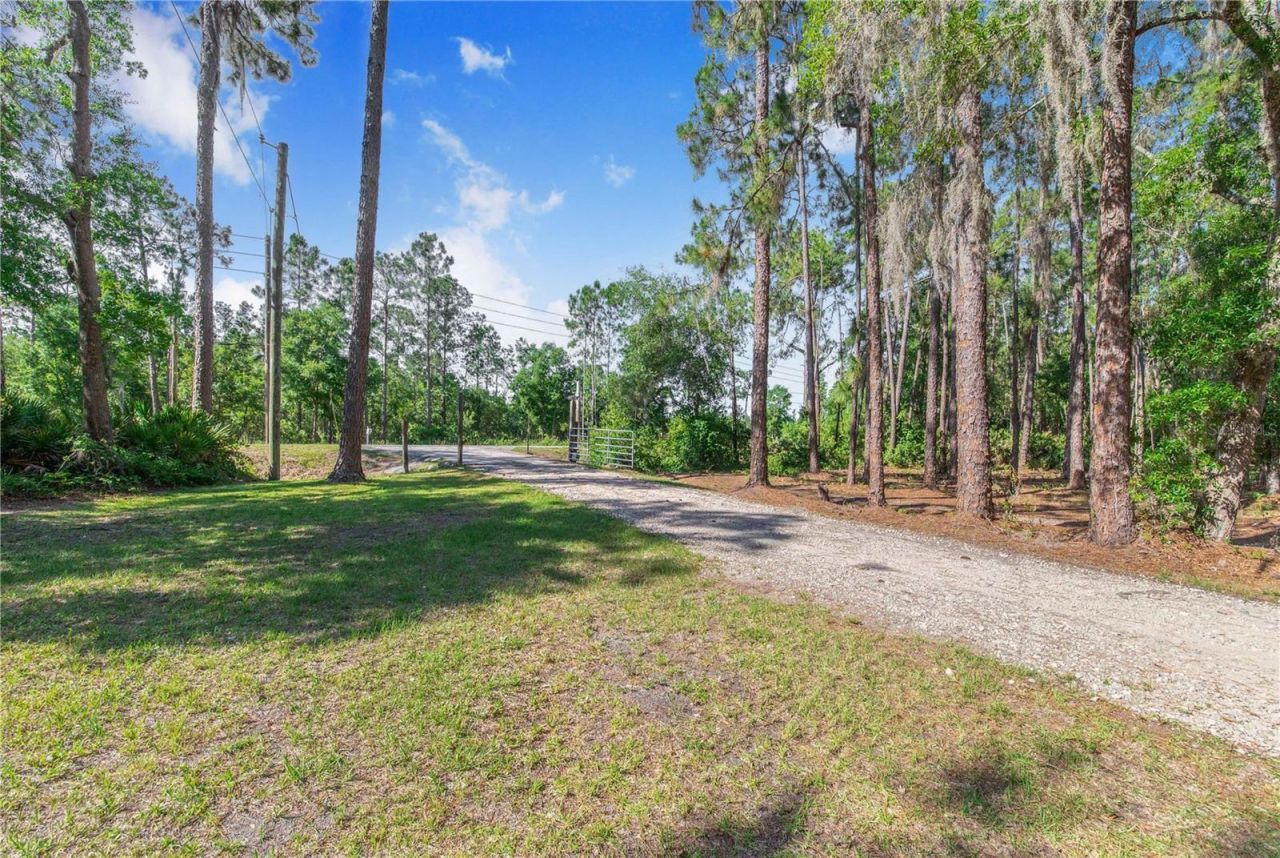 7152 Fussell Road, Polk City, FL 33868 Photo