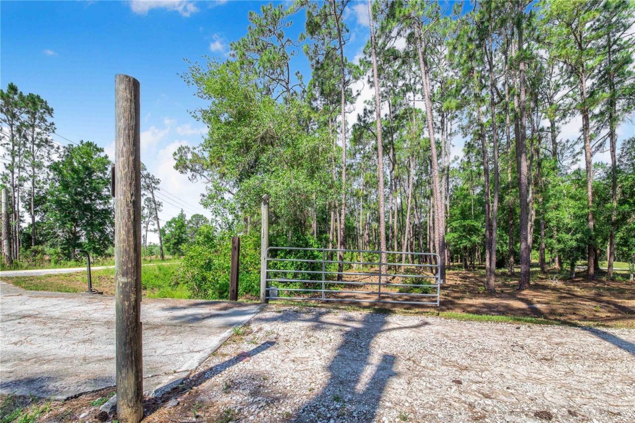 7152 Fussell Road, Polk City, FL 33868 Photo