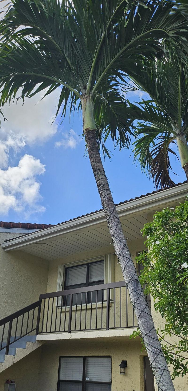 22465 SW 61st Way E, Unit 247, Boca Raton, FL 33428 Photo