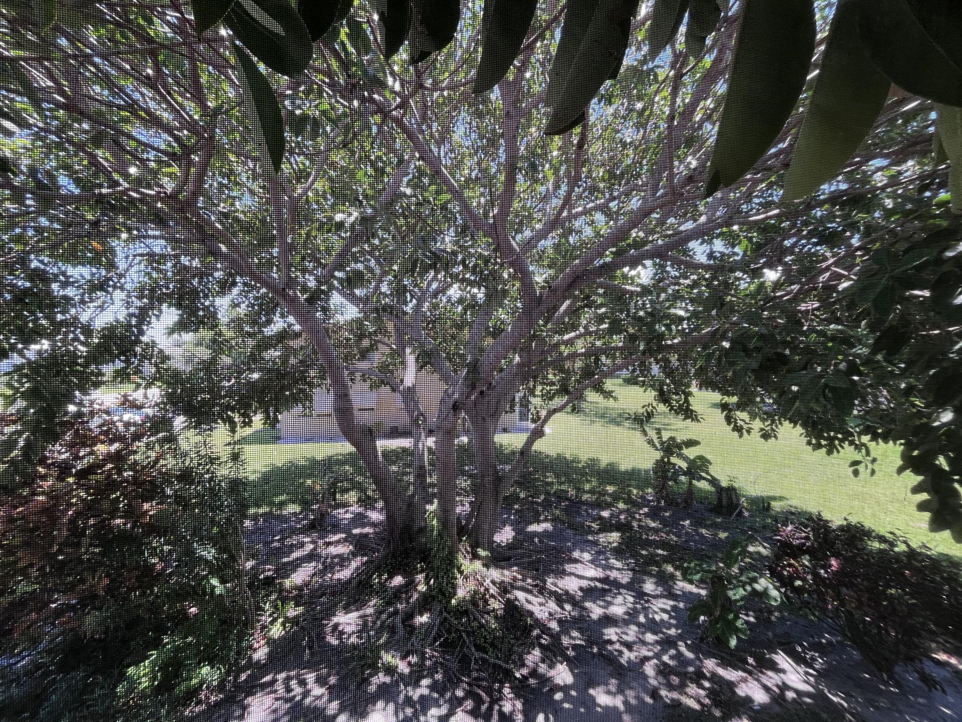 49 B Cambridge B, West Palm Beach, FL 33417 Photo