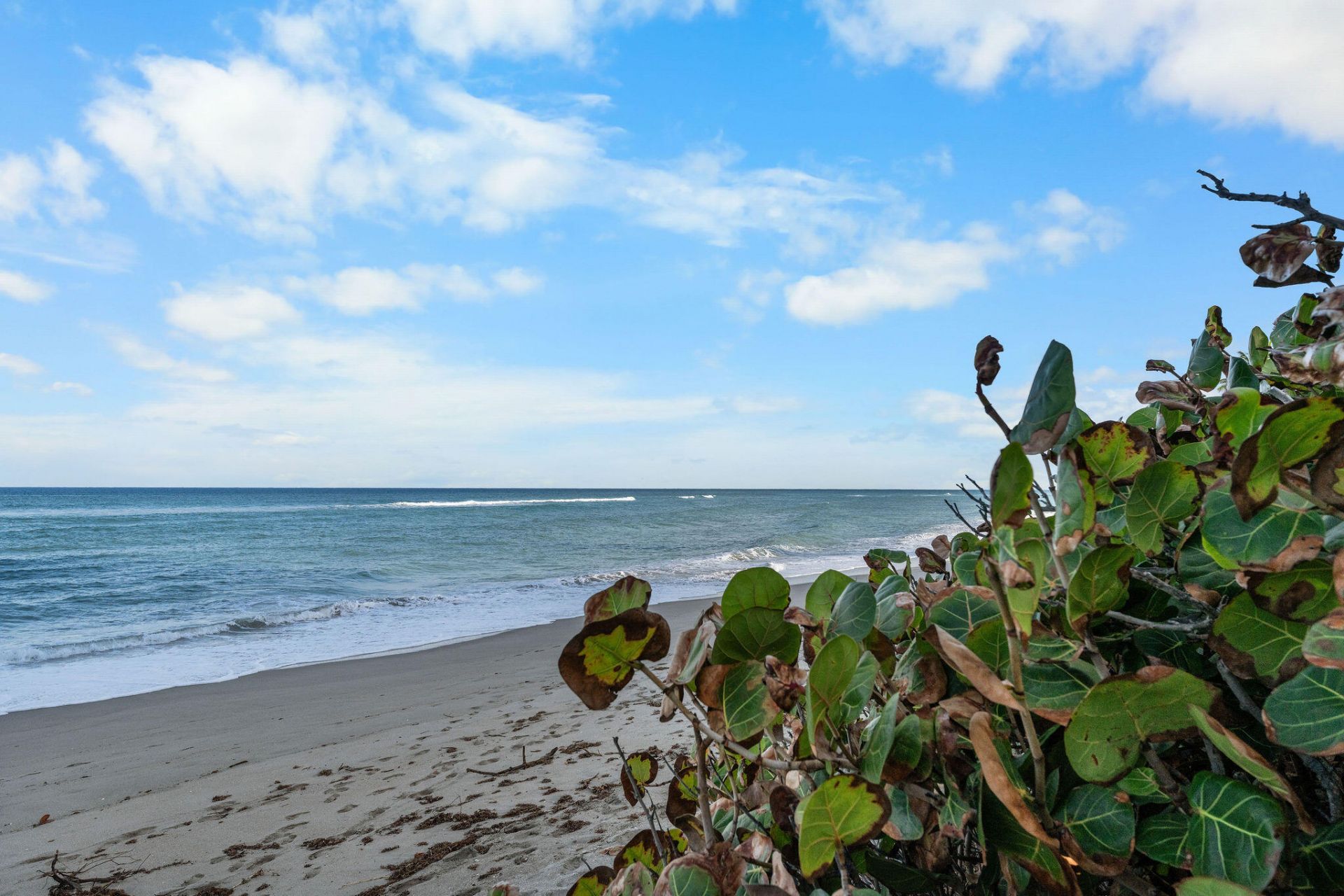 500 Ocean Drive, Unit E-2d, Juno Beach, FL 33408 Photo