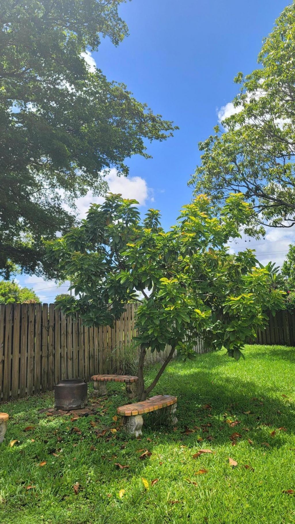 2590 NW 98th Avenue, Sunrise, FL 33322 Photo