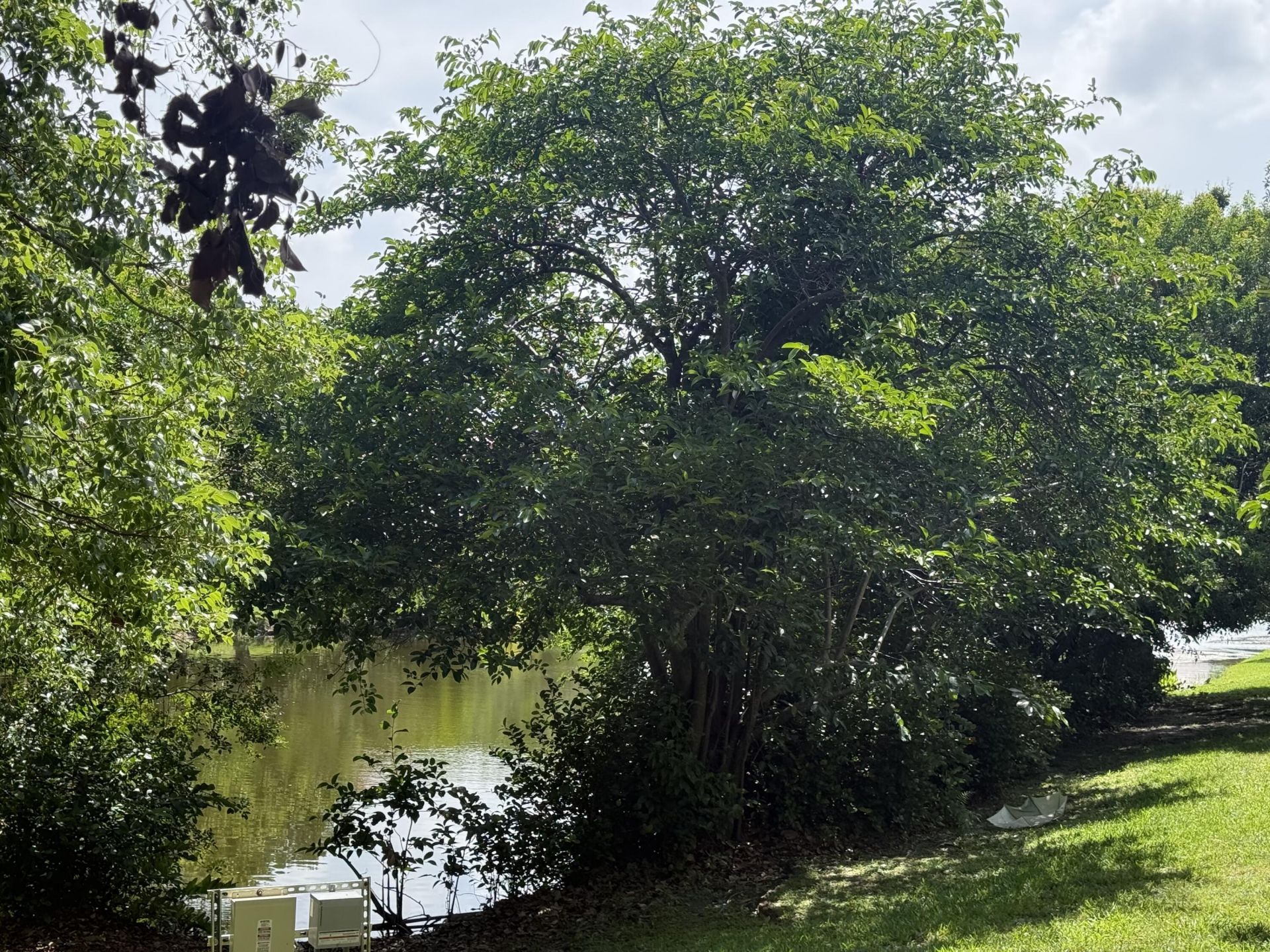 182 Lake Monterey Circle, Boynton Beach, FL 33426 Photo