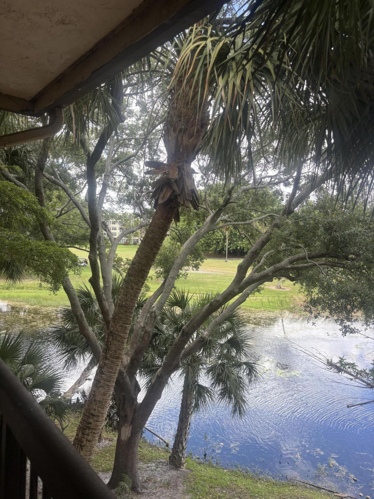4441 W Mcnab Road, Unit 32, Pompano Beach, FL 33069 Photo