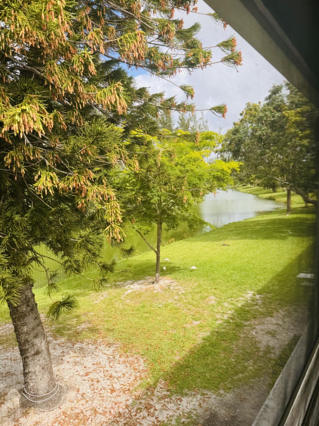 16 Windsor A, West Palm Beach, FL 33417 Photo