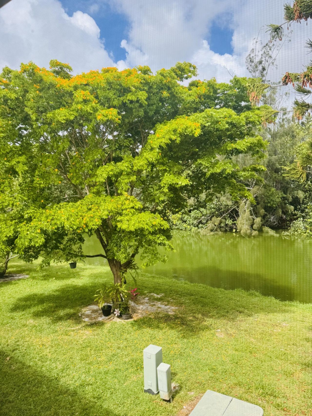 16 Windsor A, West Palm Beach, FL 33417 Photo