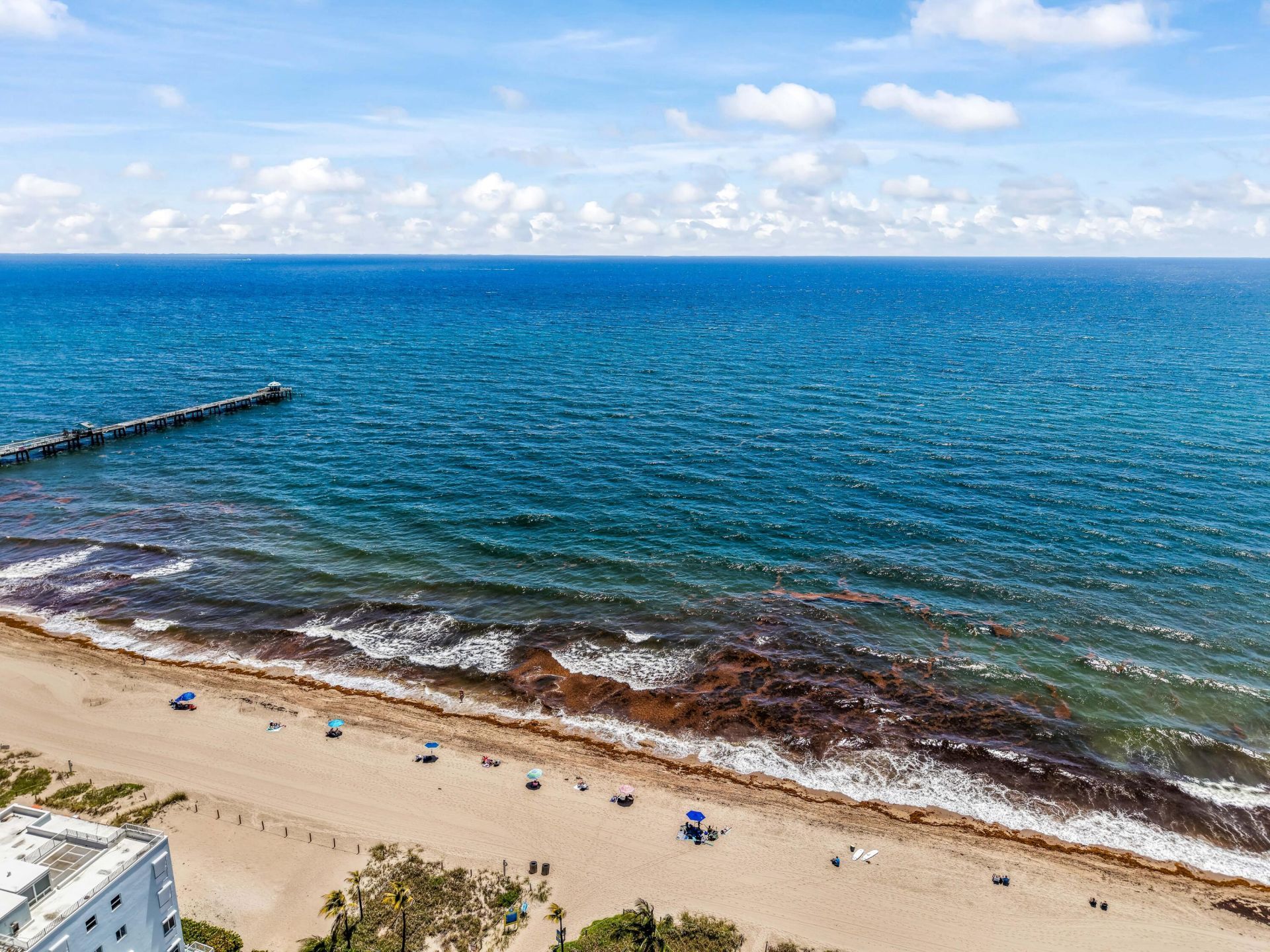 228 Hibiscus Avenue, Unit 233, Lauderdale by the Sea, FL 33308 Photo