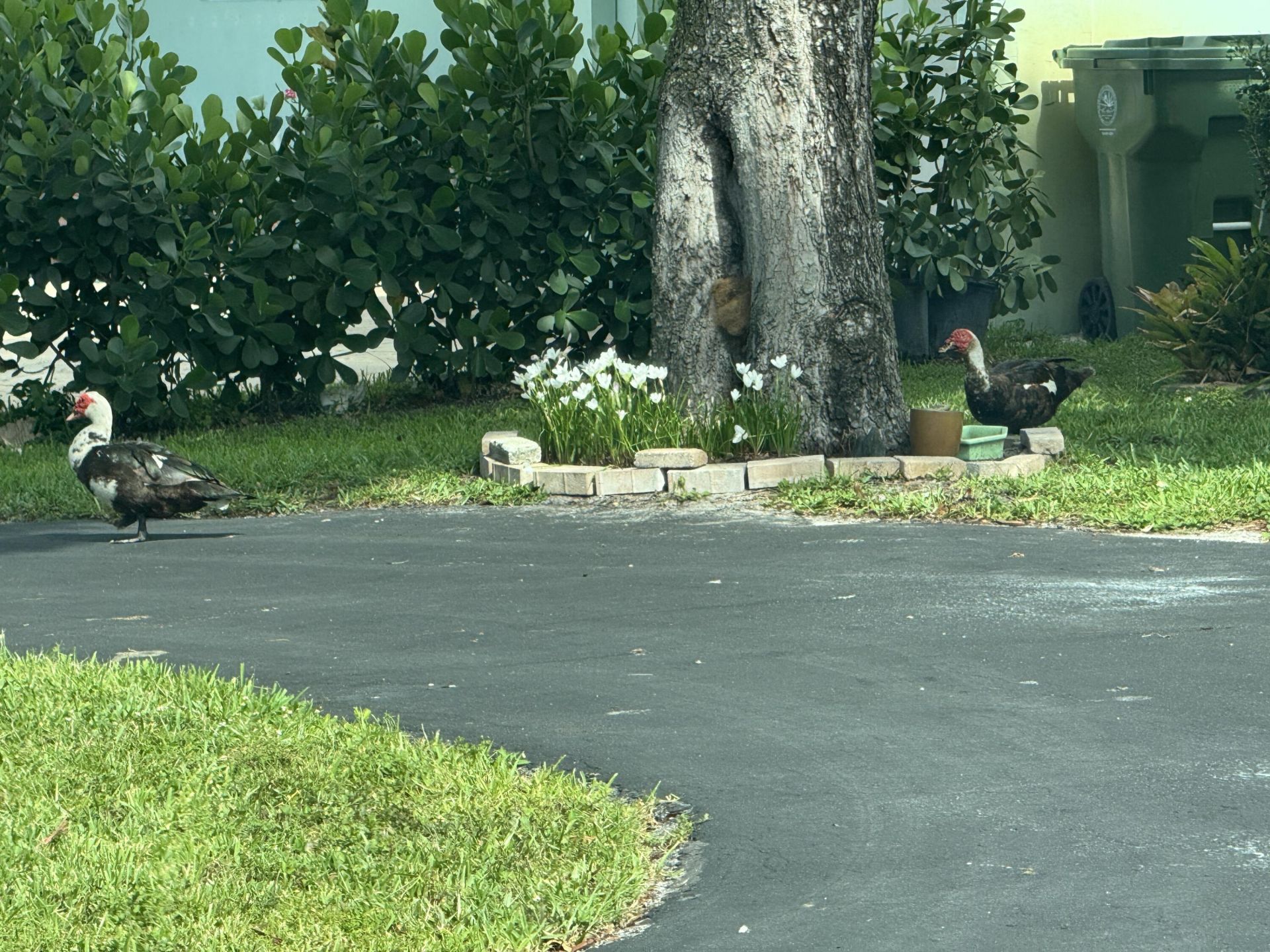 8780 NW 11th Street, Pembroke Pines, FL 33024 Photo
