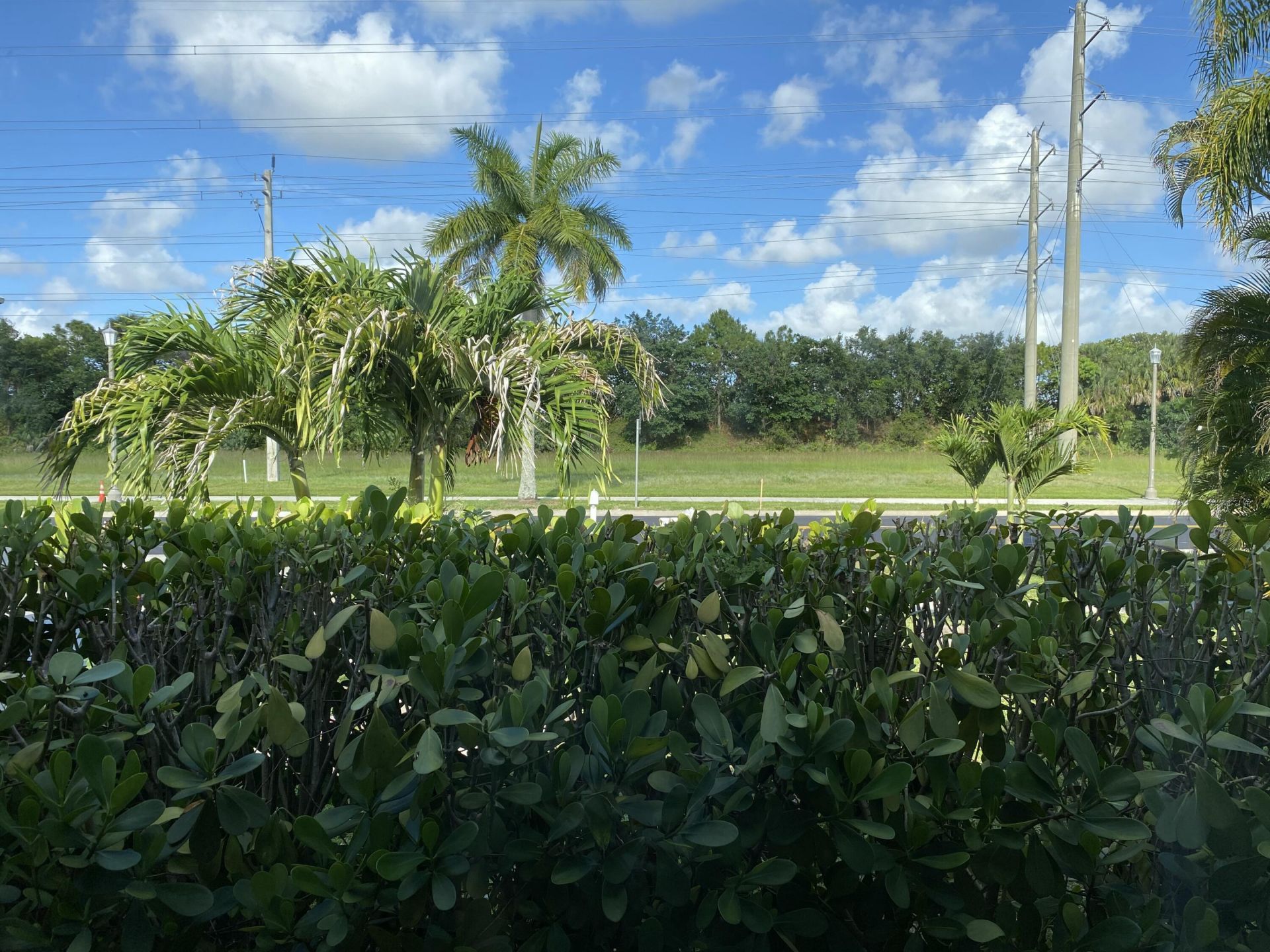 300 La Mancha Avenue, Royal Palm Beach, FL 33411 Photo