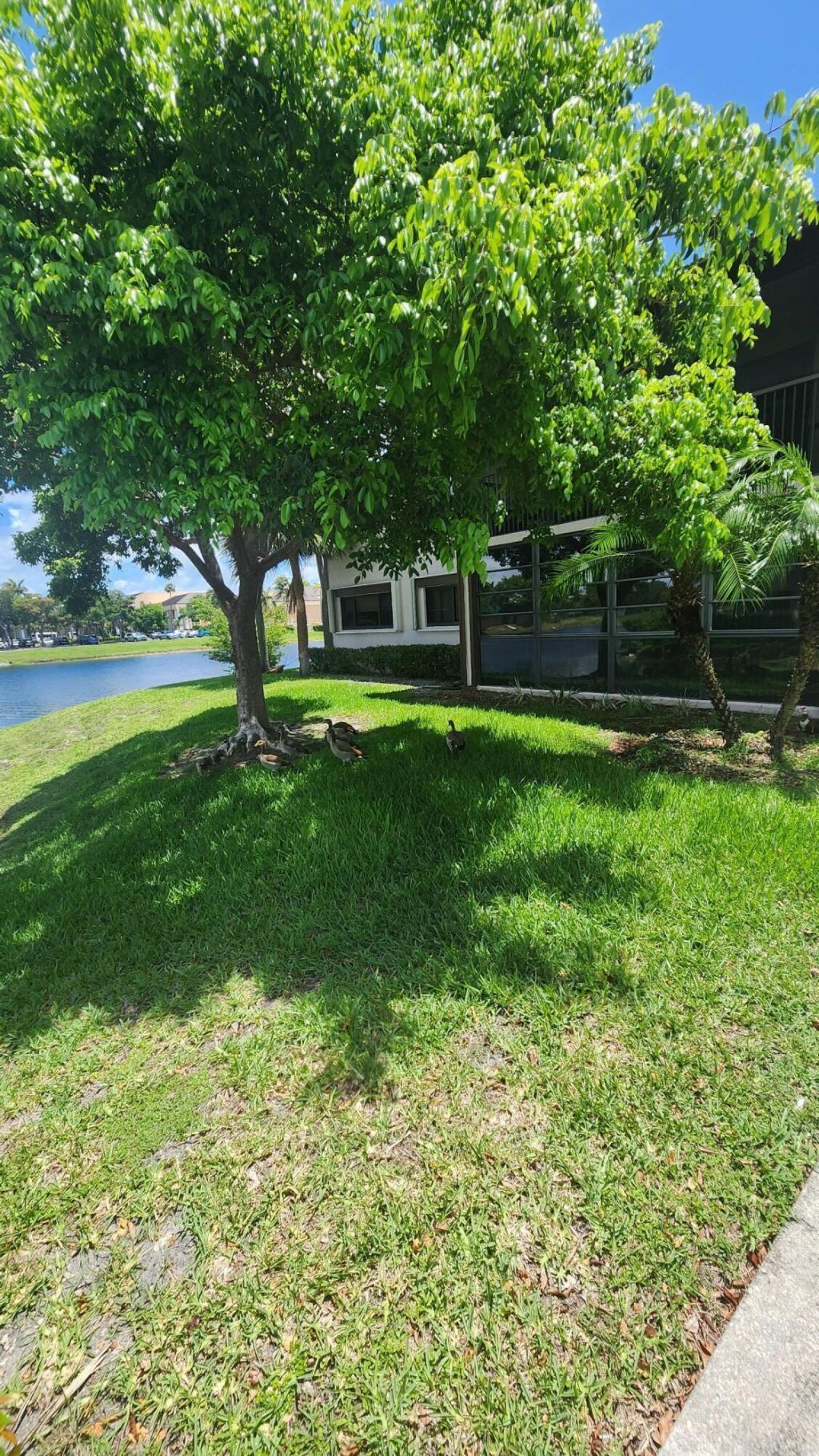 9935 N Belfort Circle, Tamarac, FL 33321 Photo