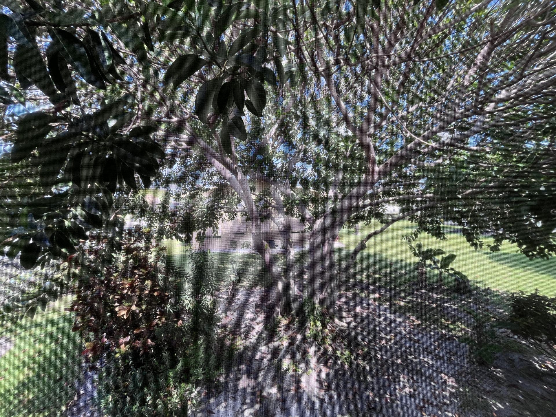 49 Cambridge B, West Palm Beach, FL 33417 Photo