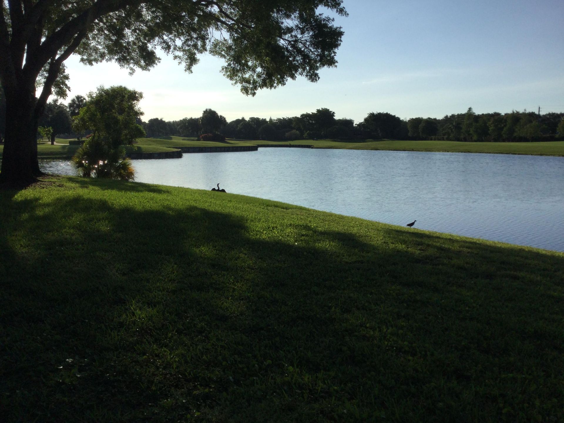 2240 SW 92nd Terrace, Unit 2402, Davie, FL 33324 Photo